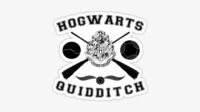 182 1822316 hogwarts quidditch harry potter quidditch stickers