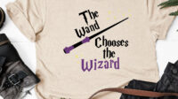 The wand chooses the wizard SVG3