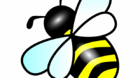 bumble bee clipart 8