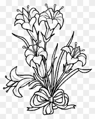 119 1198280 lily clipart black and white easter lily coloring