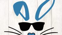 Bunny Sunglasses Thumbnail 1024x1024 1