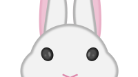bunny remix