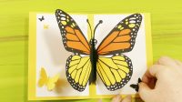 pop up butterfly card 12
