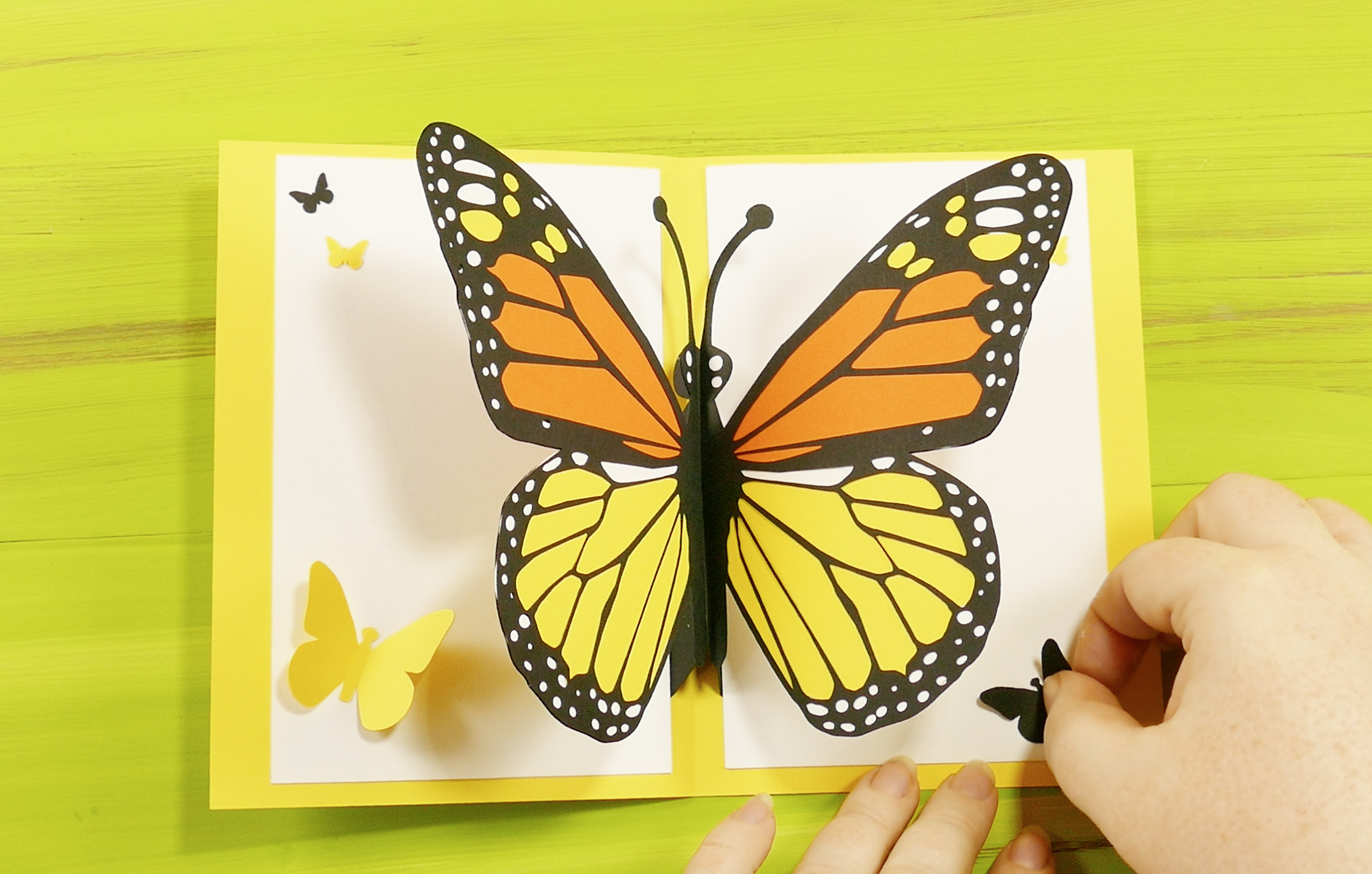 pop up butterfly card 12
