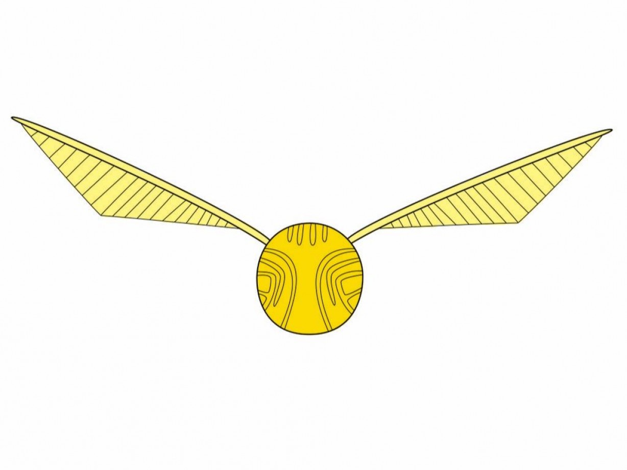 snitch vector 14