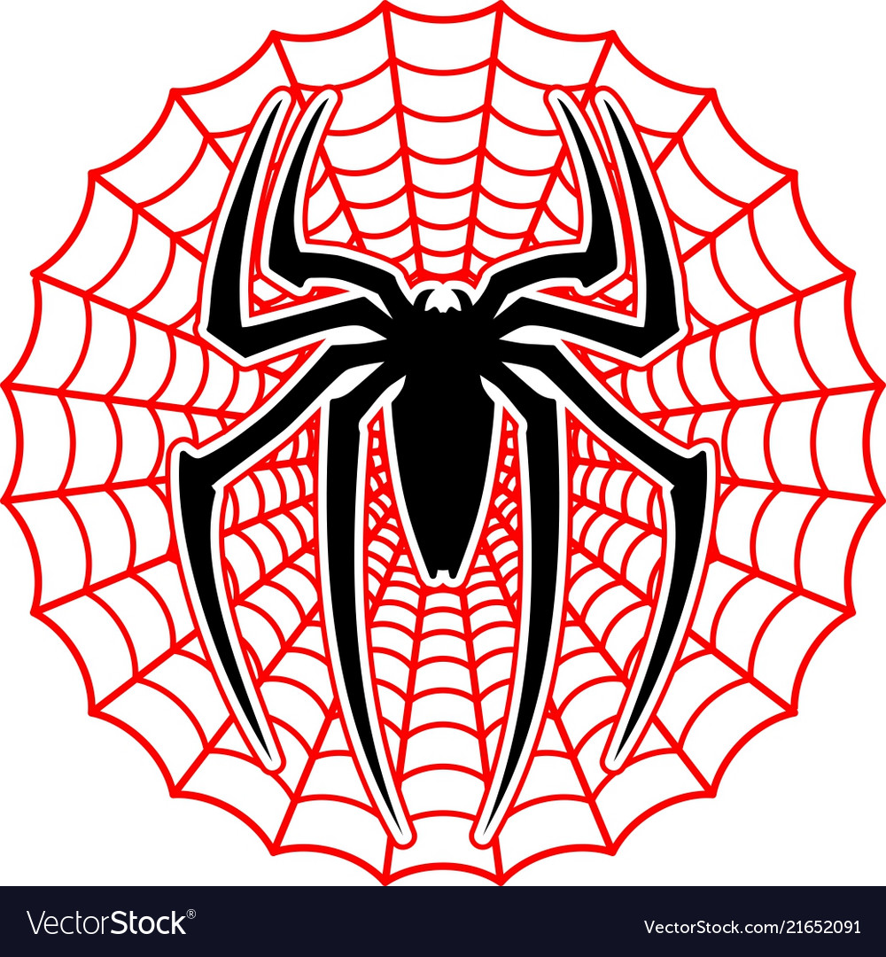 spiderman web vector 21652091