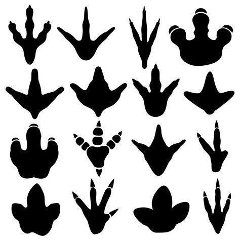 Dinosaur claw footprint silhouettes vector set By Microvector