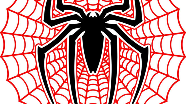 spiderman web vector 21652091