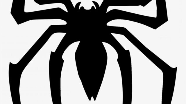 spiderman web vector 17